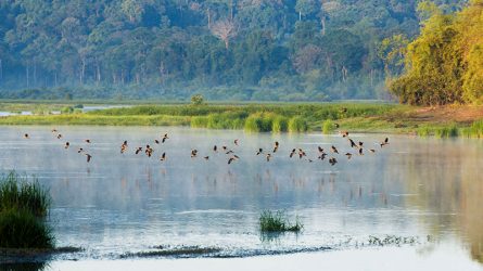 Hòa mình vào thiên nhiên hùng vĩ tại 8 vườn quốc gia ở Việt Nam